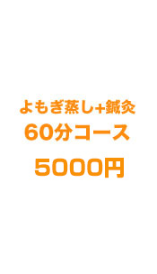 よもぎ蒸し+鍼灸 60分 5000円
